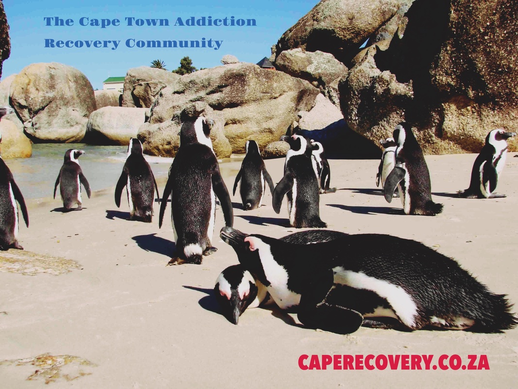 The Cape Town Recovery Community, Addiction Recovery Community in Cape Town